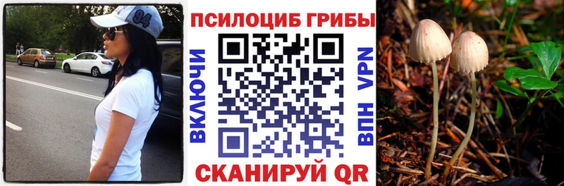 Псилоцибиновые грибы Magic Shrooms Апрелевка